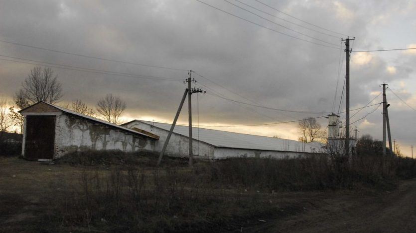 Sale - Dry warehouse, 1200 sq.m., Dolgopolovka