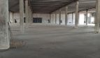 Sale - Dry warehouse, 16860 sq.m., Svyatopetrovskoe - 2
