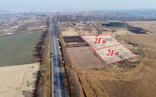 Продаж земельної ділянки 40000 кв.м. с. Шаровечка